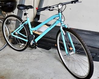 Lady's Schwinn Bike