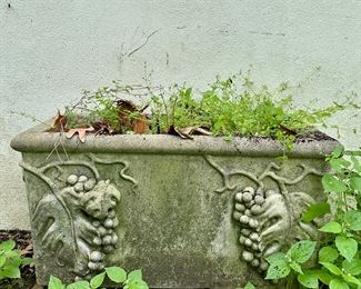 Cement Planter with Grape Vines