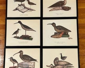 Vintage Framed Bird Prints