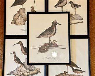Vintage Framed Bird Prints