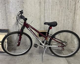 Raleigh Bicycle