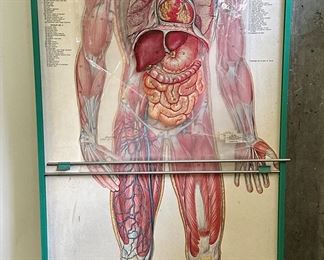 Thin Man by The George F. Cram Company (Indianapolis, IN)