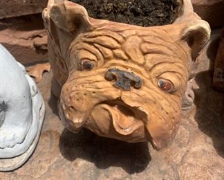 Bull Dog Planters