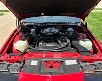 1983 Chevy Camaro Z28 (305 V8 Automatic) - 44,000 Miles