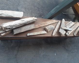 Petrified Wood