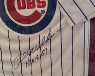 Billy Williams Cubs signed