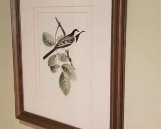 Avian art