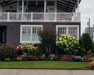 Lots of plants - bring your shovel