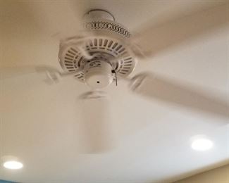 Ceiling fans