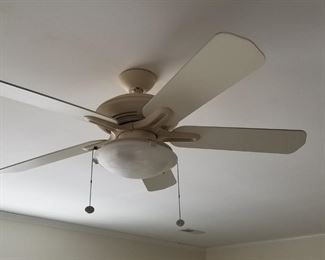 Ceiling fan with light
