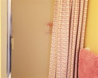 Stylish shower curtain; shower door