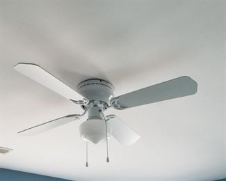 Ceiling fan with light