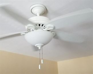 Ceiling fan with light