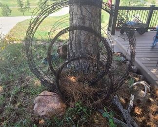 barbed wire yard art