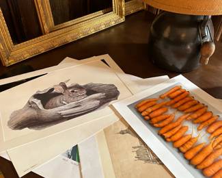 Rabbits and Carrots Perfect