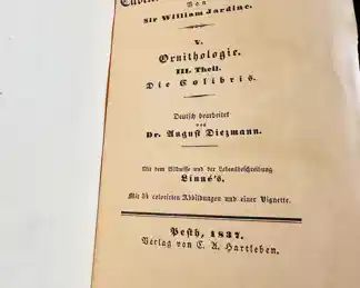 Natural History of the Animal Kingdom by Sir William Jardine.  Ornithology III / Hummingbirds.  1837 Published by CA Hartlieben 