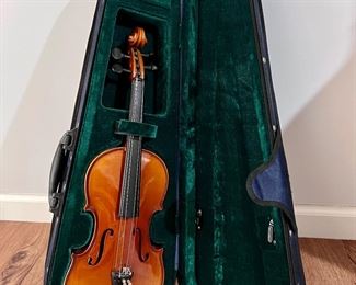 Violin