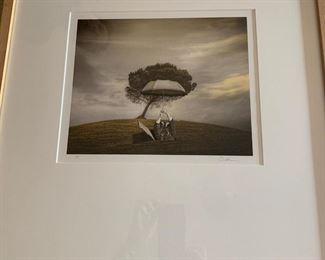 John Charbonneau digital art from 'The Birdmen: A Field Guide series'