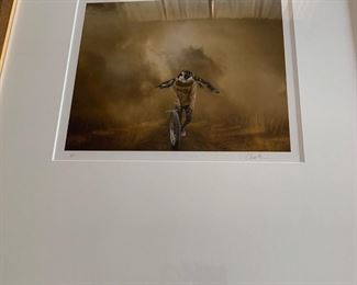 John Charbonneau digital art from The Birdmen: A Field Guide