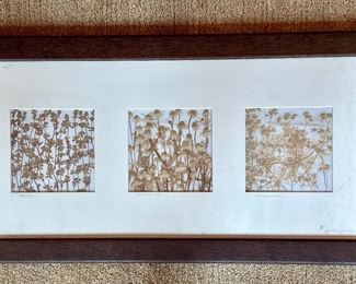 Framed Dried Flowers