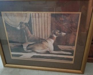 Large framed print of greyhound dogs