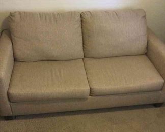Pull Out Couch