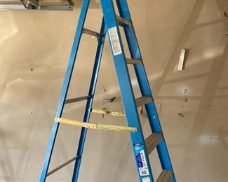 Wonderful Werner Ladder