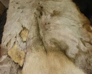 Elk hide