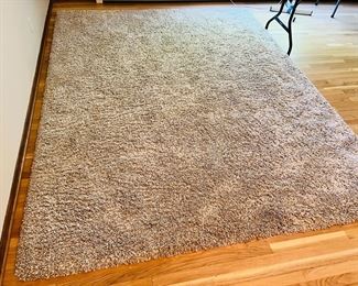 Like New Hanford 8’ x 10’ shag area rug