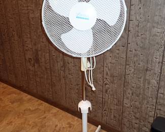 FAN