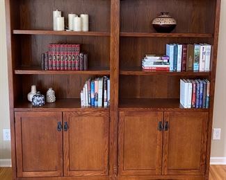 Heavy Duty Beautiful Bookcases w/ Cabinet Storage