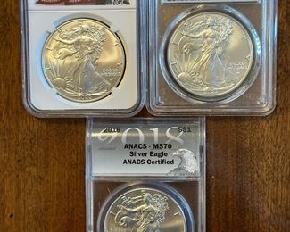 Graded SILVER American Eagles