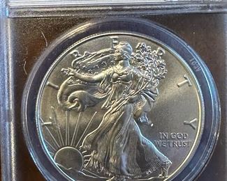 Graded SILVER American Eagles