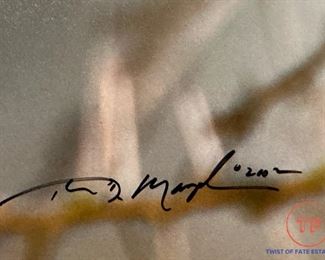 Limited Edition Signed THOMAS MANGELSEN "Jewel of the Serengeti" 1539/2500