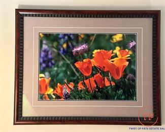 Limited Edition Signed THOMAS MANGELSEN "Bumble Bee's Dream" 80/1500