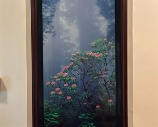 Limited Edition Signed THOMAS MANGELSEN "Rising From the Mist" 268/1500