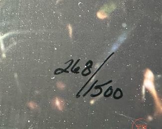 Limited Edition Signed THOMAS MANGELSEN "Rising From the Mist" 268/1500