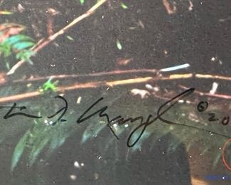 Limited Edition Signed THOMAS MANGELSEN "Rising From the Mist" 268/1500