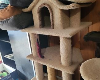 Many Cat Towers