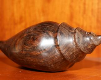 Ironwood conch shell