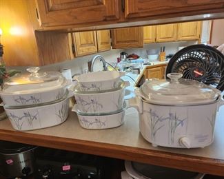 Rival crock pot with Irises and other Iris casseroles