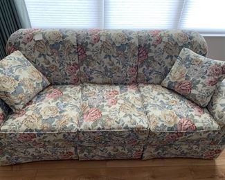 Fine design sofa is very clean