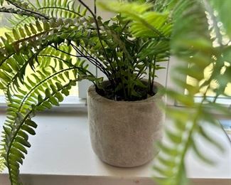 faux fern