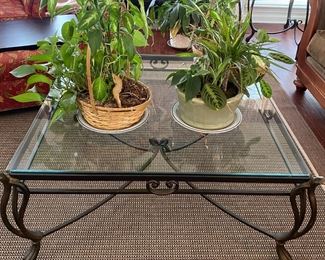 Plants and airy iron and glass, coffee table and indoor outdoor rug