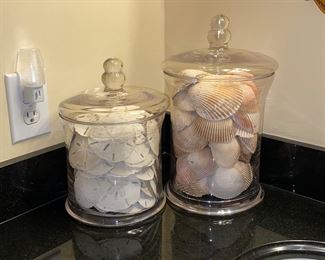 Beach life… Sand dollars and shells decorative canisters