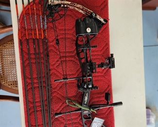 Bow and Arrows, Never used.  Dartan 