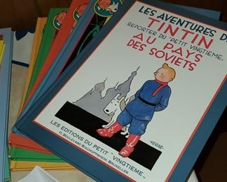 Tintin books in French