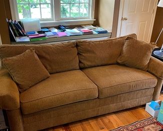 Sleeper Sofa