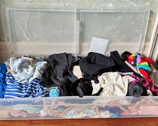 Shapewear Including Spanx, Swim Suits, Bras, Stockings & More, Some New, In Plastic Storage Bin
Lot #: 86