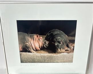 Arlene Alda Original Framed Photograph Of Hippos
Lot #: 171